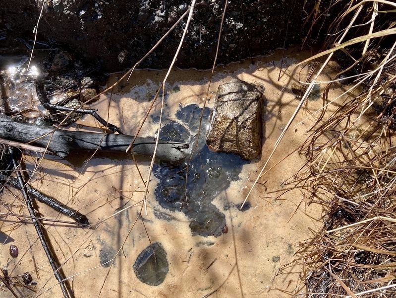 White Oil Seep � Behind the Marker image. Click for full size.
