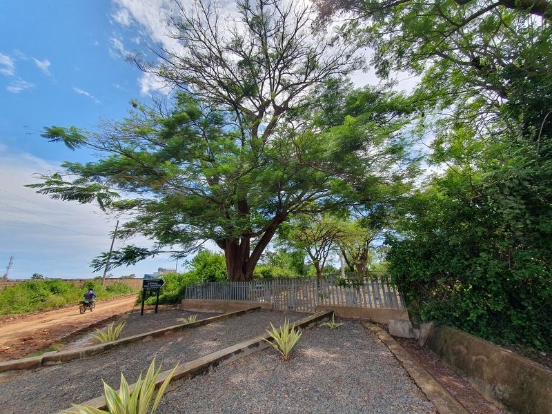 The Kisumu War Cemetery image. Click for full size.