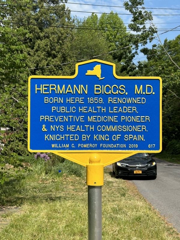 Hermann Biggs, MD Marker image. Click for full size.