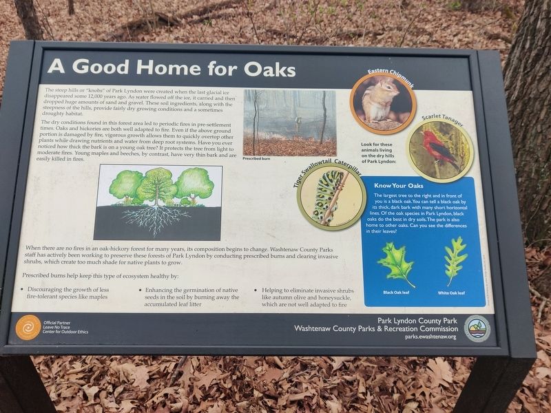 A Good Home for Oaks Marker image. Click for full size.