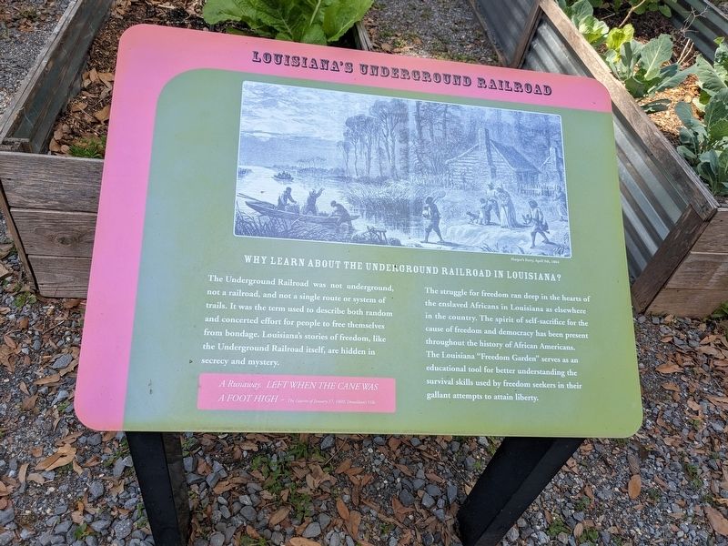 Louisiana's Underground Railroad Marker. Click for full size. Louisiana's Underground Railroad Marker image. Click for full size.