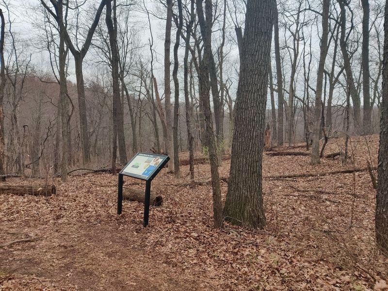 A Good Home for Oaks Marker. Click for full size. A Good Home for Oaks Marker image. Click for full size.