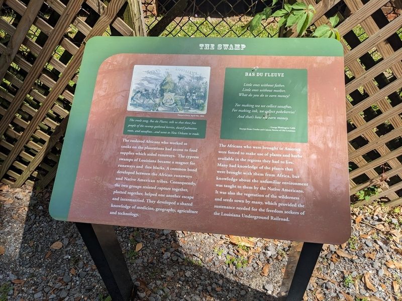 The Swamp Marker image. Click for full size.