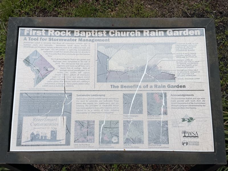 First Rock Baptist Church Rain Garden Marker image. Click for full size.