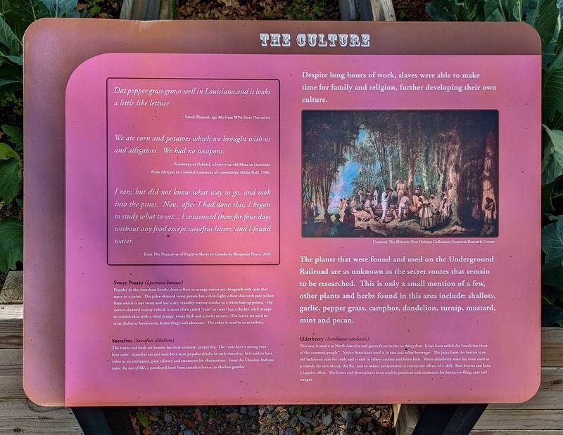 The Culture Marker. Click for full size. The Culture Marker image. Click for full size.