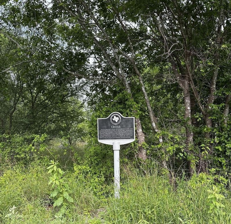 View of Cross marker from TX16 (North) turnout image. Click for full size.