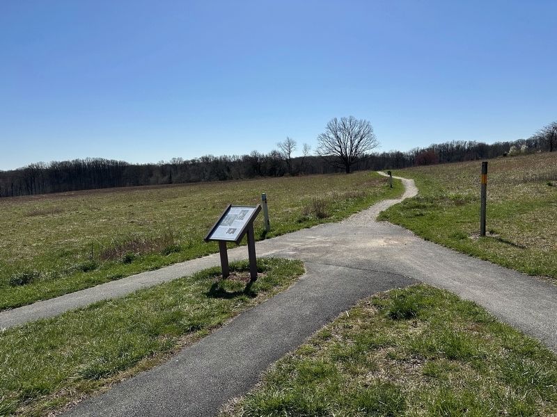 Pioneer of Preservation Marker wide view image. Click for full size.