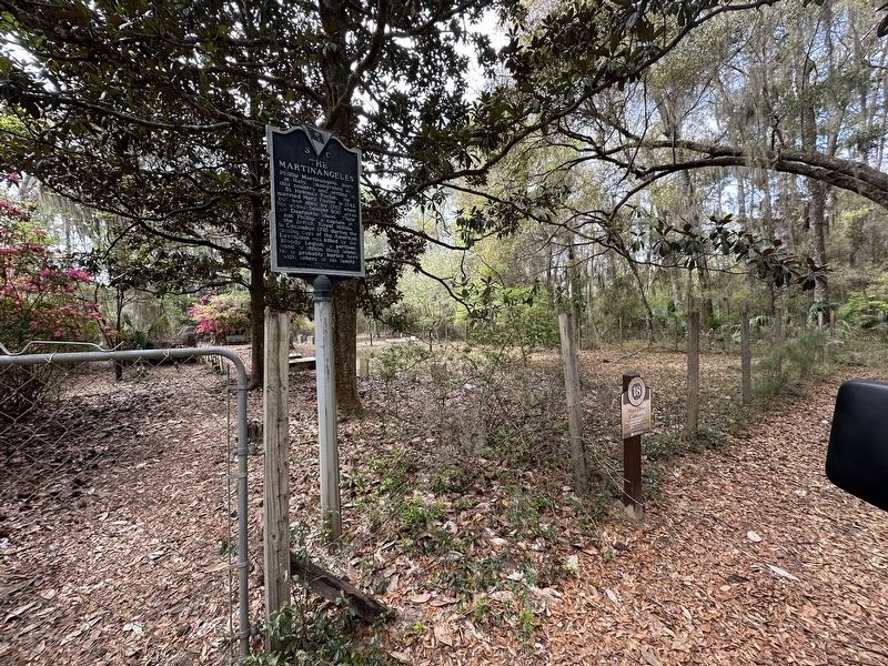 The Martinangeles Marker image. Click for full size.