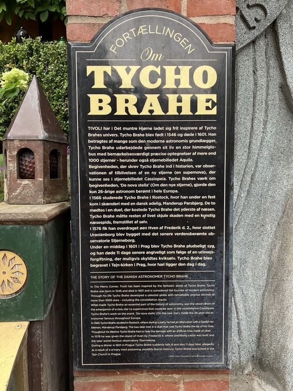 Tycho Brahe Marker image. Click for full size.