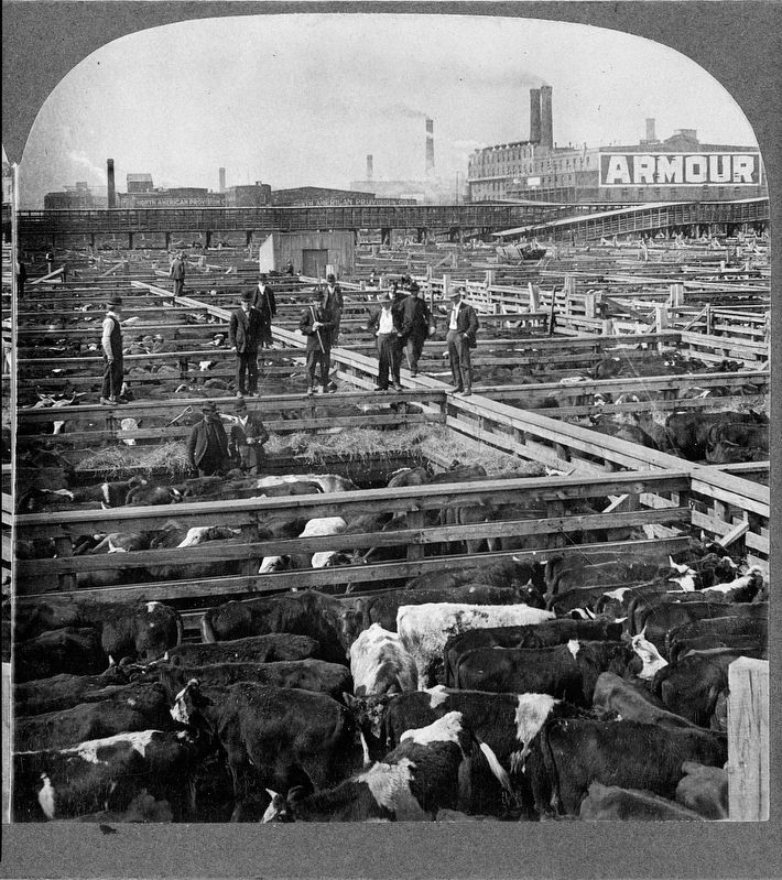 "In the heart of the Great Union Stock Yards, Chicago, U.S.A." image. Click for full size.