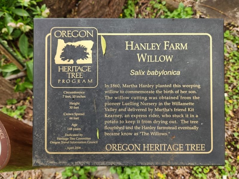 Hanley Farm Willow Marker image. Click for full size.