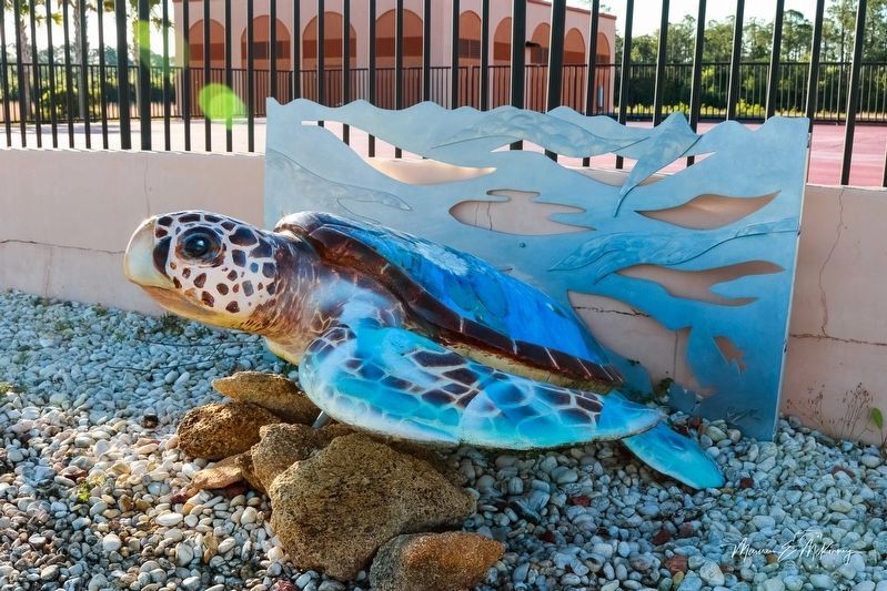 Turtle #1 "Claude" sculpture image. Click for full size.
