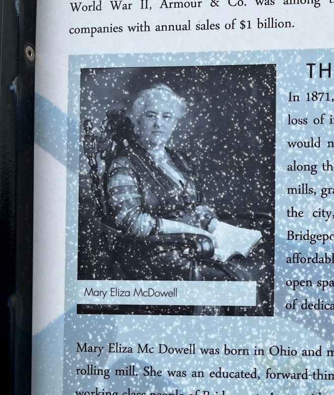 Mary Eliza McDowell close-up. Click for full size. Mary Eliza McDowell close-up image. Click for full size.