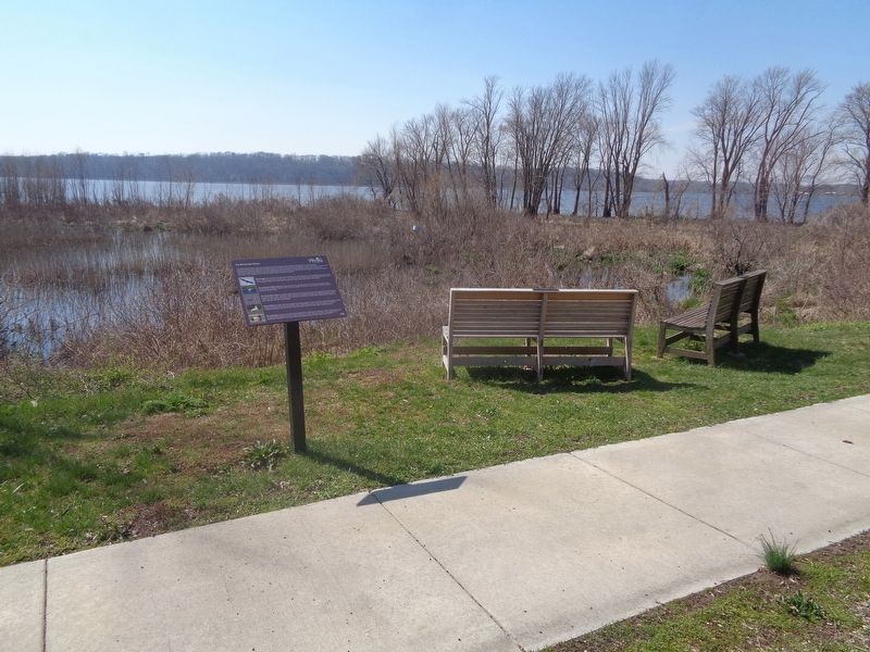 The Mississippi Flyway Marker image. Click for full size.