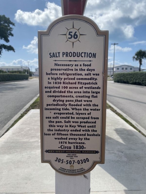 Salt Production Marker image. Click for full size.
