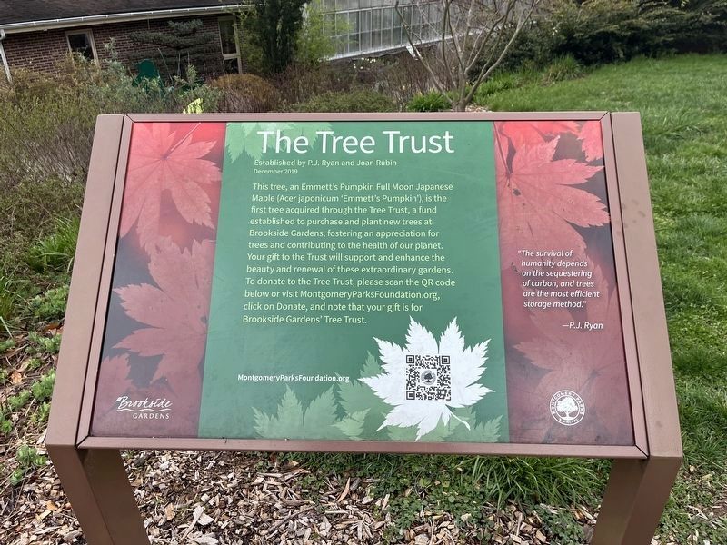 The Tree Trust Marker image. Click for full size.