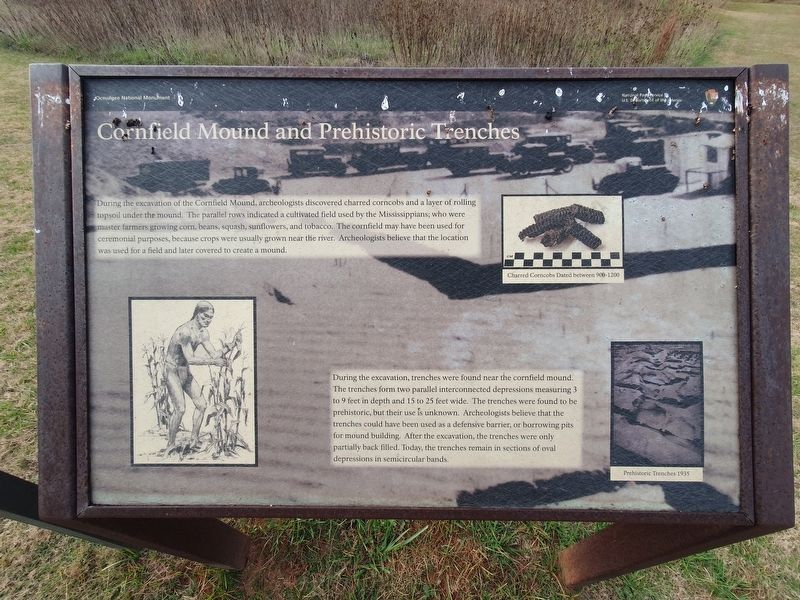 Cornfield Mound and Prehistoric Trenches Marker image. Click for full size.