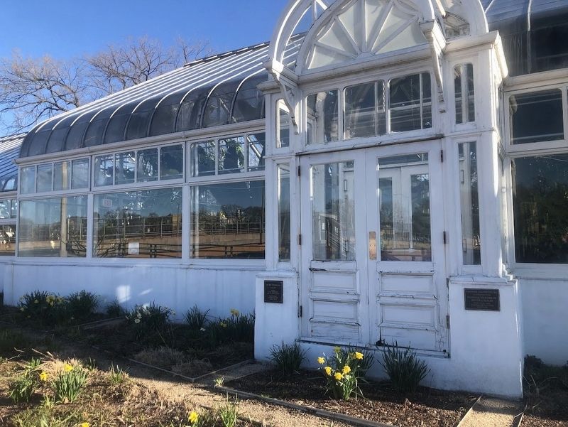 Oak Park Conservatory image. Click for full size.