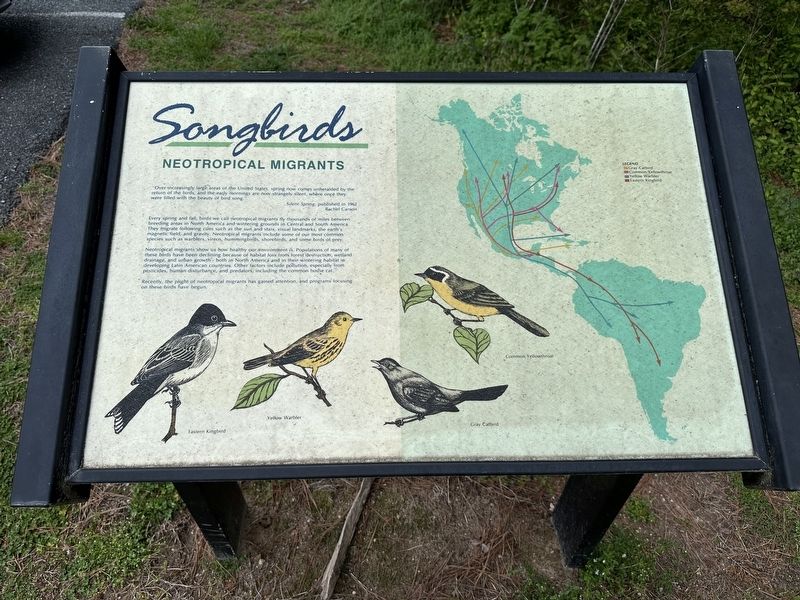 Songbirds Marker. Click for full size. Songbirds Marker image. Click for full size.