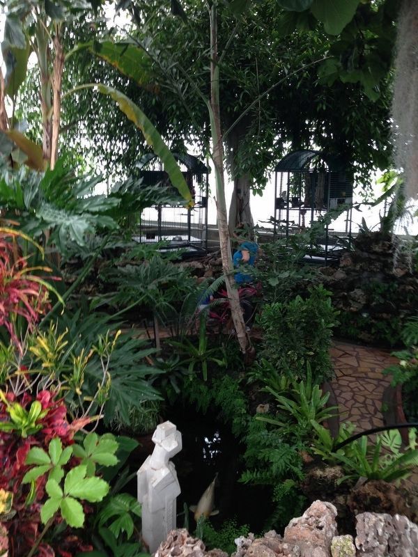 Inside the Oak Park Conservatory image. Click for full size.