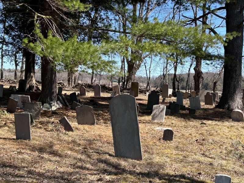 Barnes Cemetery. Click for full size. Barnes Cemetery image. Click for full size.