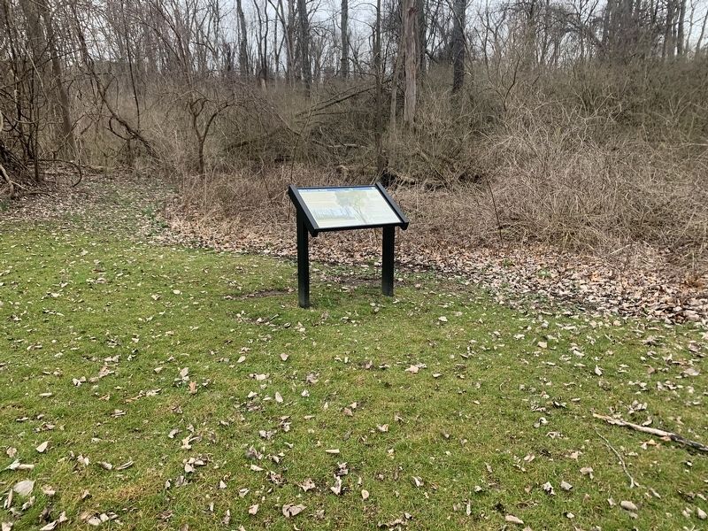 Black Locust Trees Marker. Click for full size. Black Locust Trees Marker image. Click for full size.