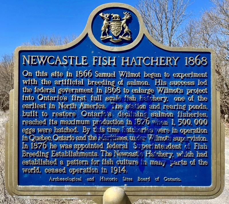 Newcastle Fish Hatchery 1868 Marker image. Click for full size.