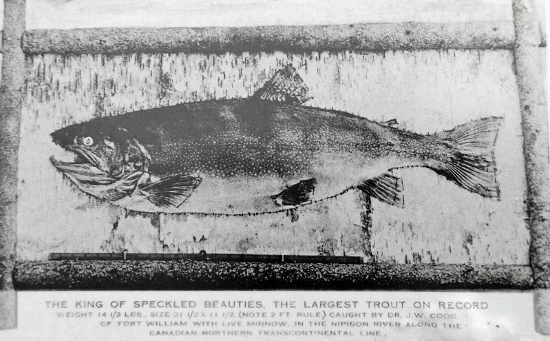 Marker detail: World Record Brook Trout. Click for full size. Marker detail: World Record Brook Trout image. Click for full size.