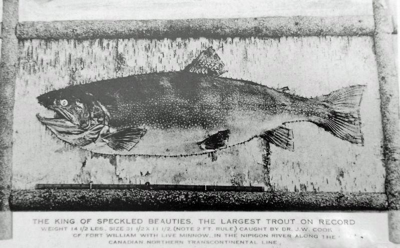 Marker detail: World Record Brook Trout image. Click for full size.