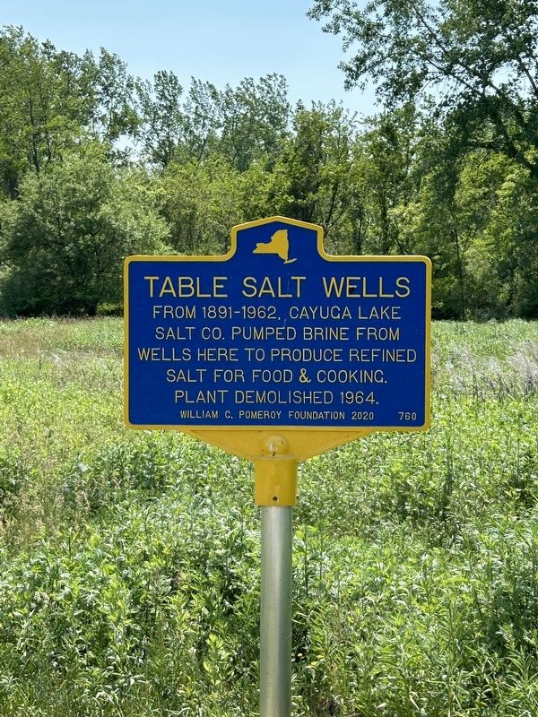 Table Salt Wells Marker image. Click for full size.