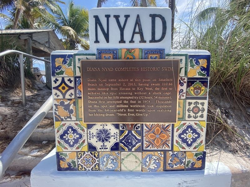 Nyad Marker image. Click for full size.