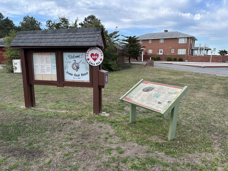 The Atlantic Horseshoe Crab Marker wide view. Click for full size. The Atlantic Horseshoe Crab Marker wide view image. Click for full size.