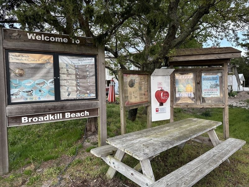 The Atlantic Horseshoe Crab Marker wide view. Click for full size. The Atlantic Horseshoe Crab Marker wide view image. Click for full size.
