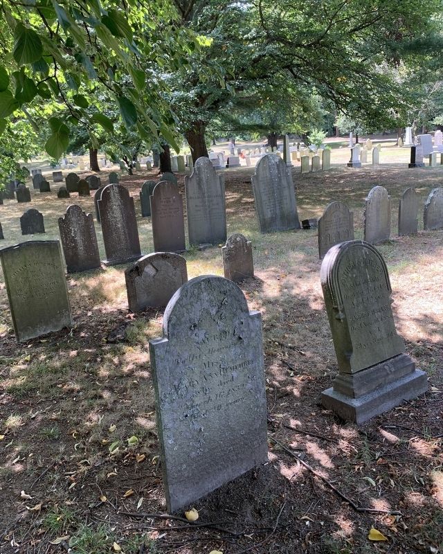 Milton Cemetery image. Click for full size.