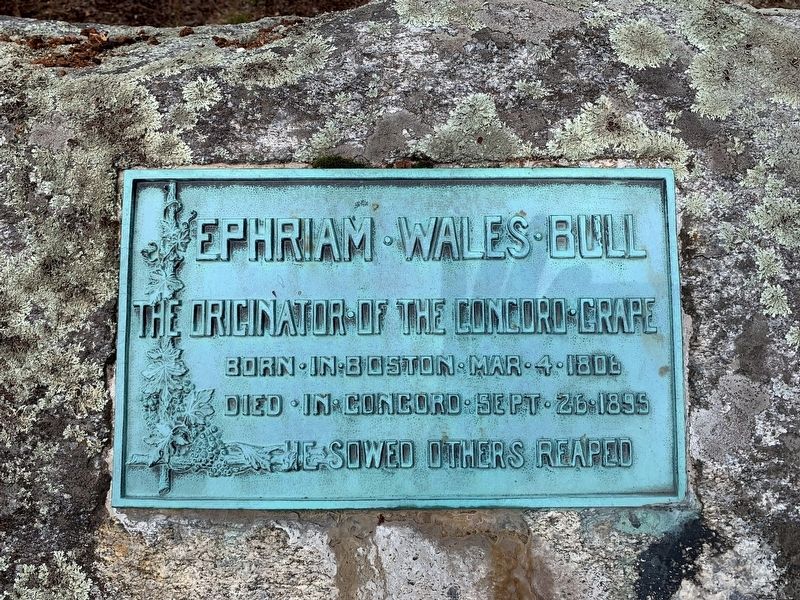 Ephriam Wales Bull Marker image. Click for full size.