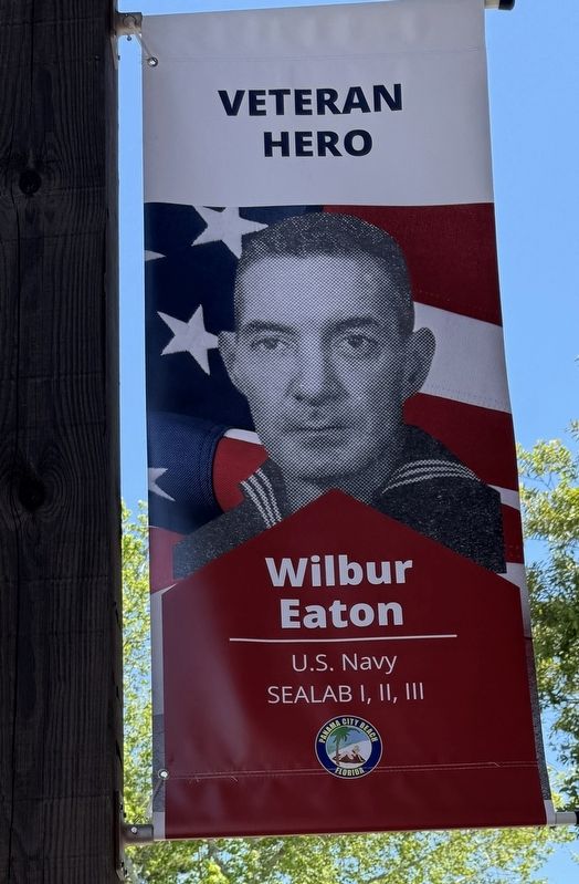 Veteran Hero Wilber Eaton image. Click for full size.