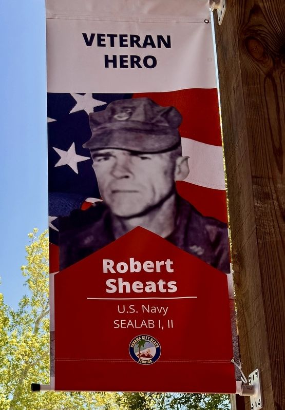 Veteran Hero Robert Sheats image. Click for full size.