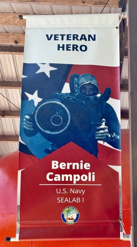 Veteran Hero Bernie Campoli image. Click for full size.
