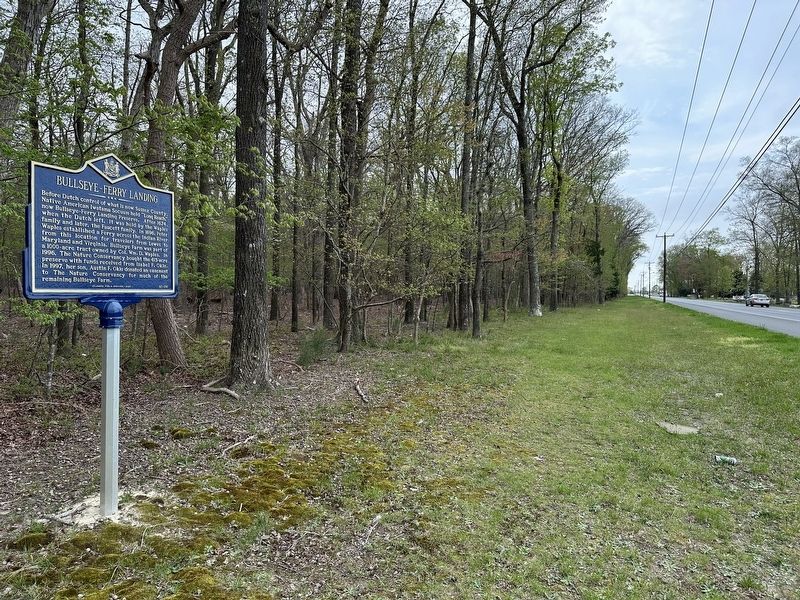 Bullseye-Ferry Landing Marker wide view. Click for full size. Bullseye-Ferry Landing Marker wide view image. Click for full size.