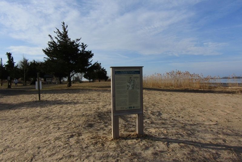 The marker located near the Town Beach image. Click for full size.