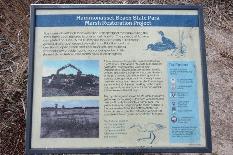 Panel explaining the restoration project. Click for full size. Panel explaining the restoration project image. Click for full size.