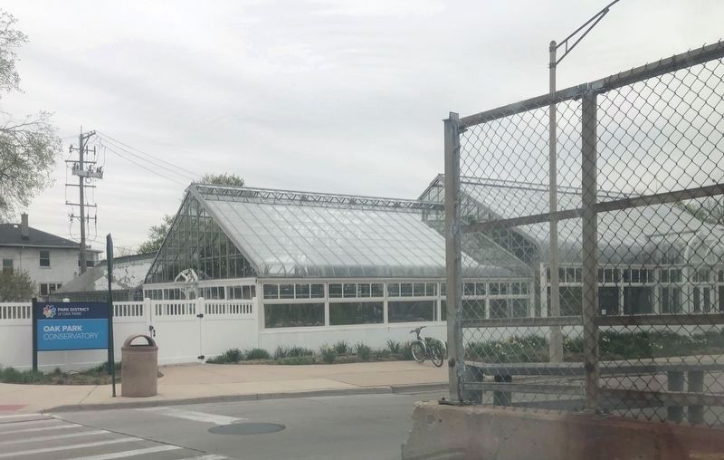 Oak Park Conservatory image. Click for full size.