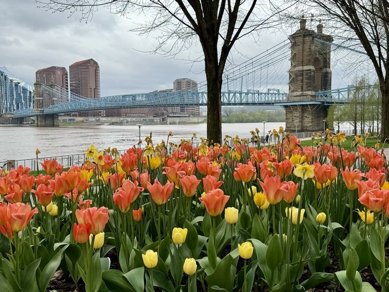 View of suspension bridge from marker image. Click for full size.