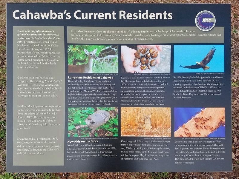 Cahawbas Current Residents Marker image. Click for full size.