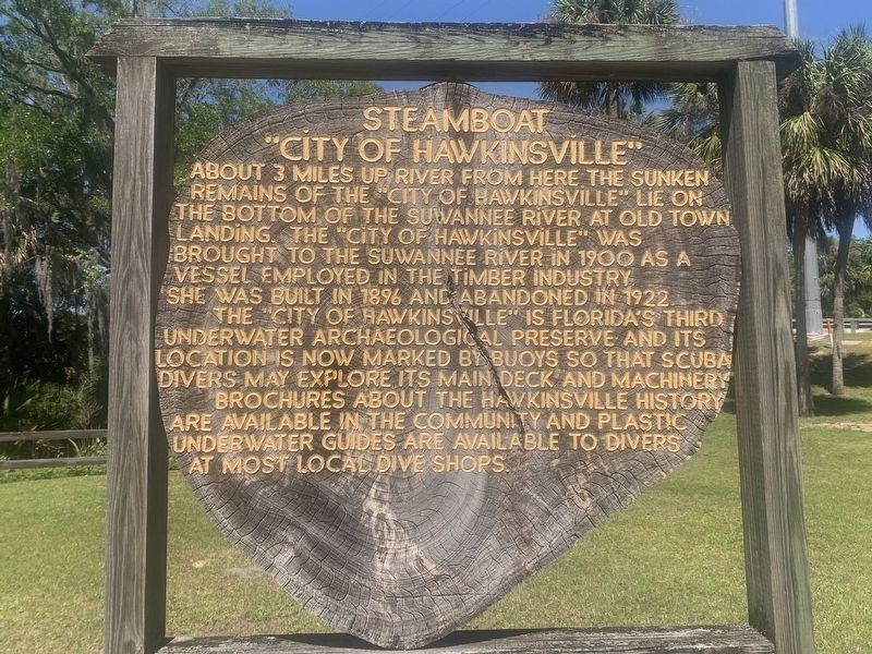 Steamboat "City of Hawkinsville" Marker image. Click for full size.