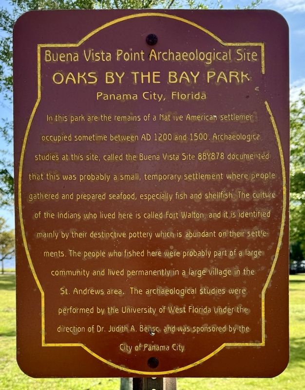 Buena Vista Point Archaeological Site Marker image. Click for full size.
