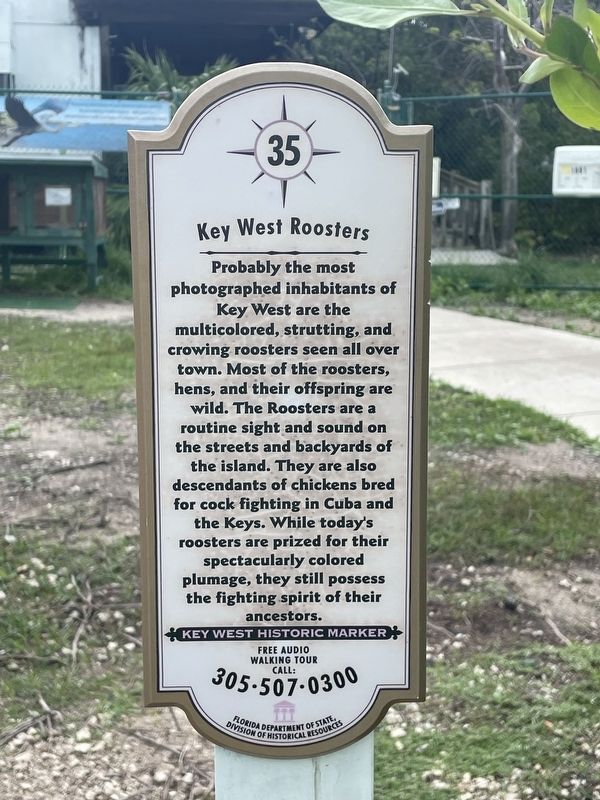 Key West Roosters Marker image. Click for full size.