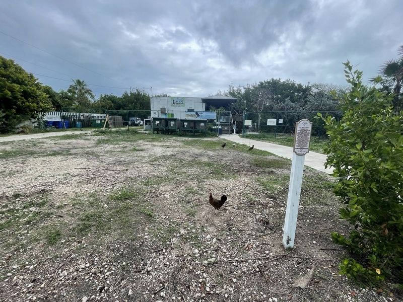 Key West Roosters Marker image. Click for full size.