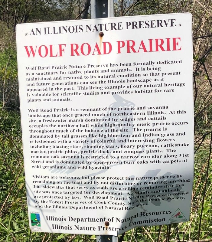 Wolf Road Prairie Marker image. Click for full size.