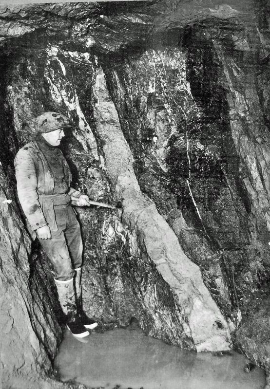 Marker detail: Inside the Mine. Click for full size. Marker detail: Inside the Mine image. Click for full size.